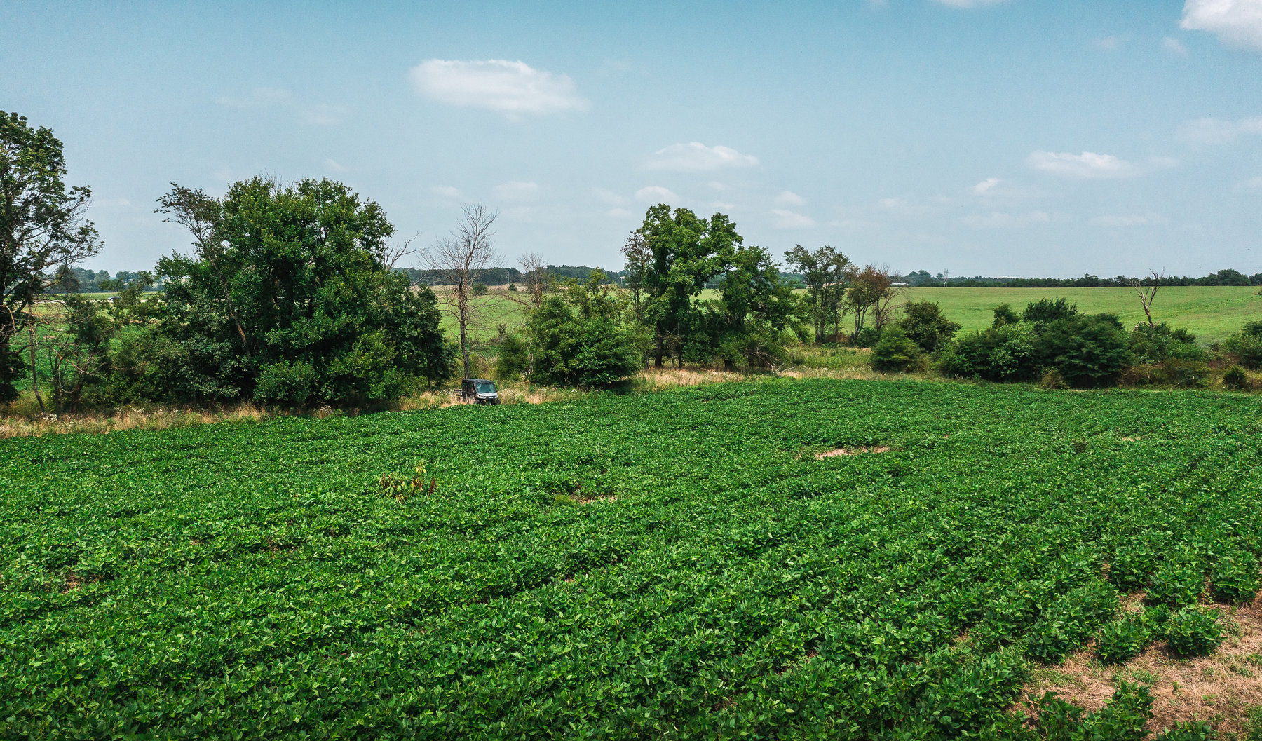 Image for Beaver Creek