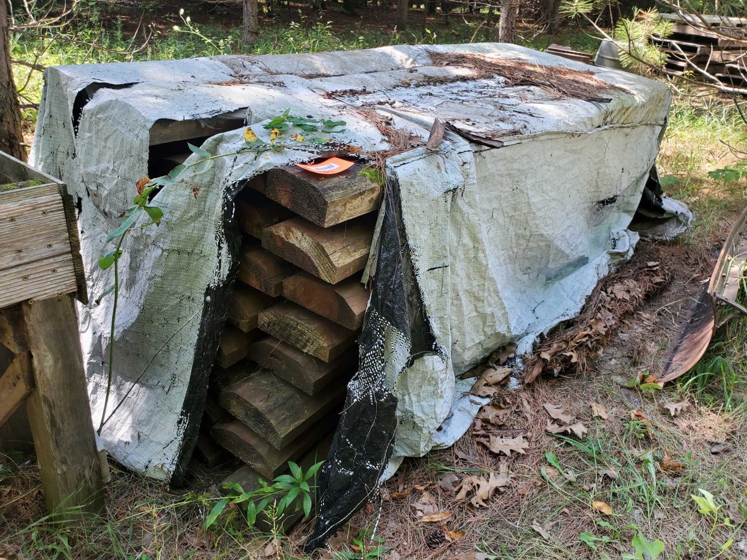 Image for Tools, Furniture, Collectibles-Faeger Ln