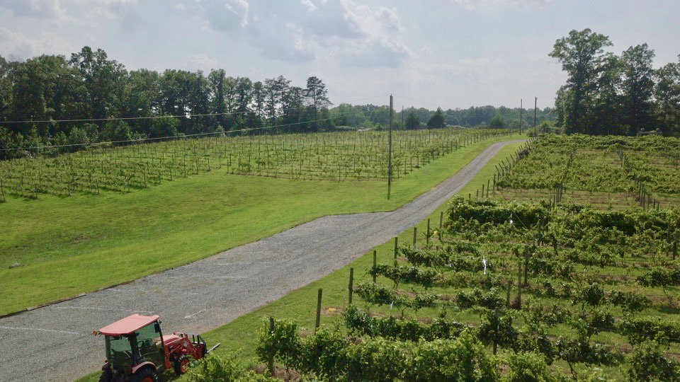 Image for 61.8 +/- Acre Farm/Winery/Vineyard w/Modern Production/Tasting Building in Orange County, VA