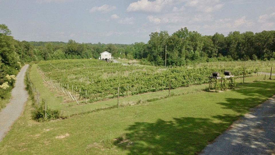 Image for 61.8 +/- Acre Farm/Winery/Vineyard w/Modern Production/Tasting Building in Orange County, VA
