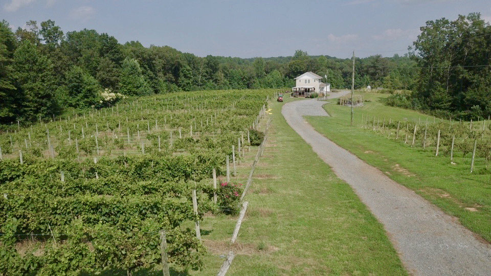 Image for 61.8 +/- Acre Farm/Winery/Vineyard w/Modern Production/Tasting Building in Orange County, VA