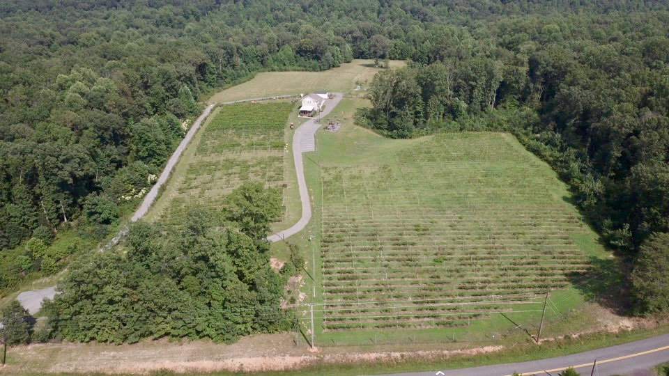 Image for 61.8 +/- Acre Farm/Winery/Vineyard w/Modern Production/Tasting Building in Orange County, VA