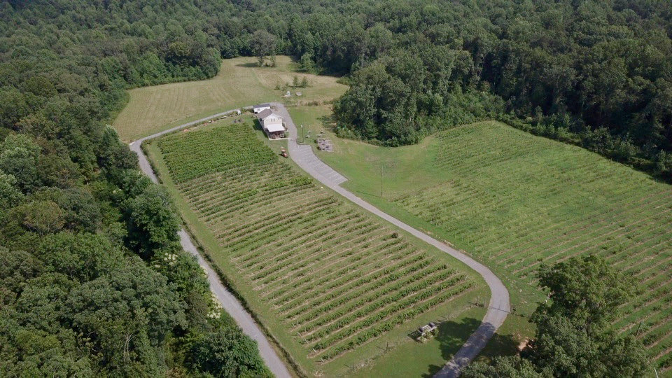 Image for 61.8 +/- Acre Farm/Winery/Vineyard w/Modern Production/Tasting Building in Orange County, VA