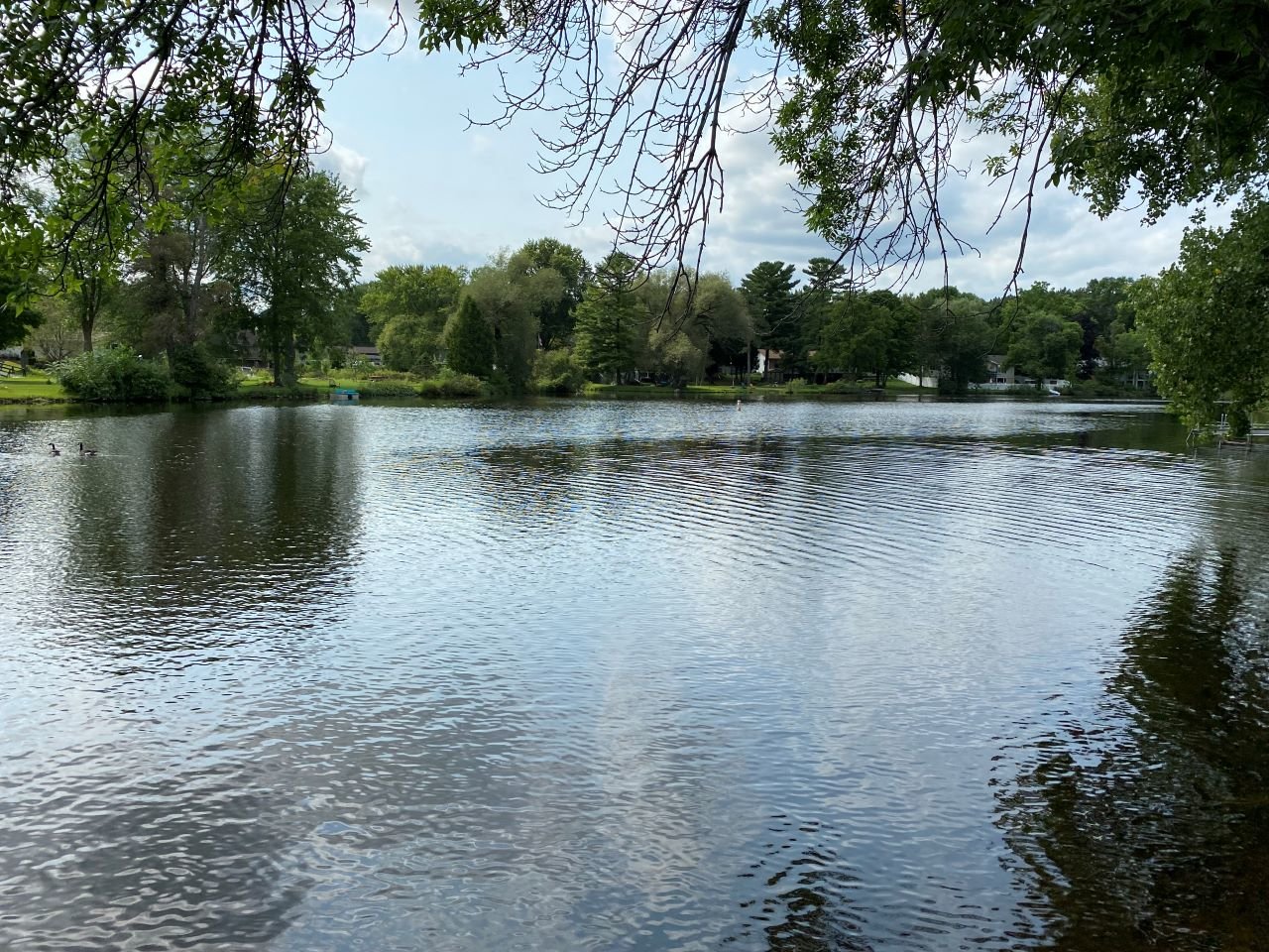 Image for Larson Real Estate Auction