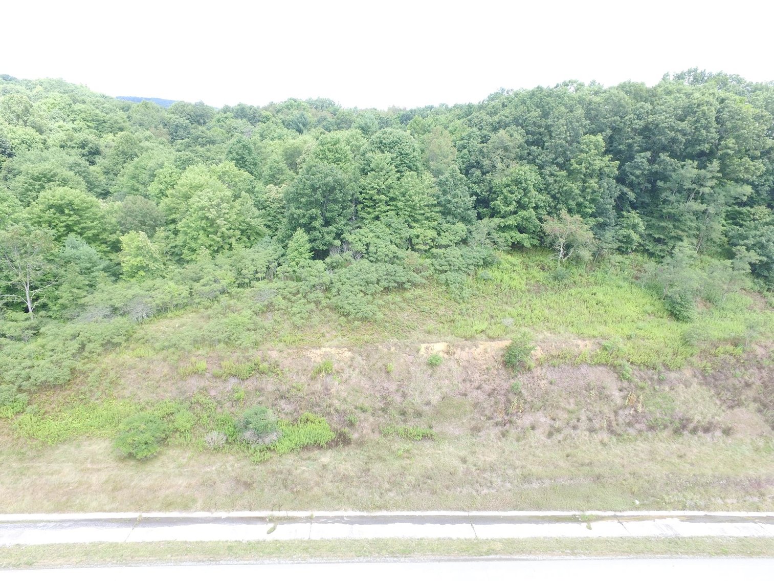 Image for SOLD $99,000 - 43 Acres with I-64 Frontage & Mineral Rights near Lewisburg