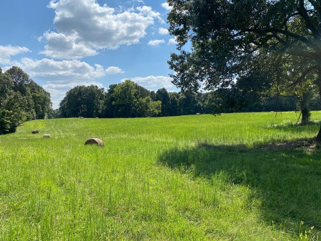 Image for ABSOLUTE AUCTION