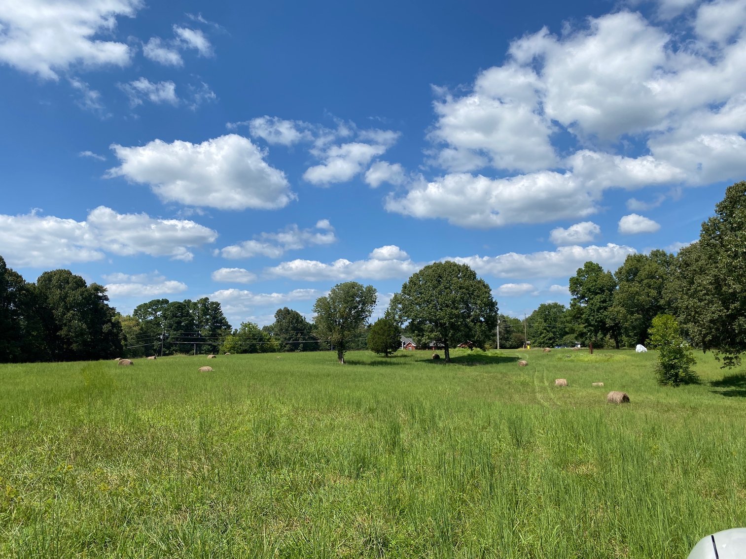 Image for ABSOLUTE AUCTION