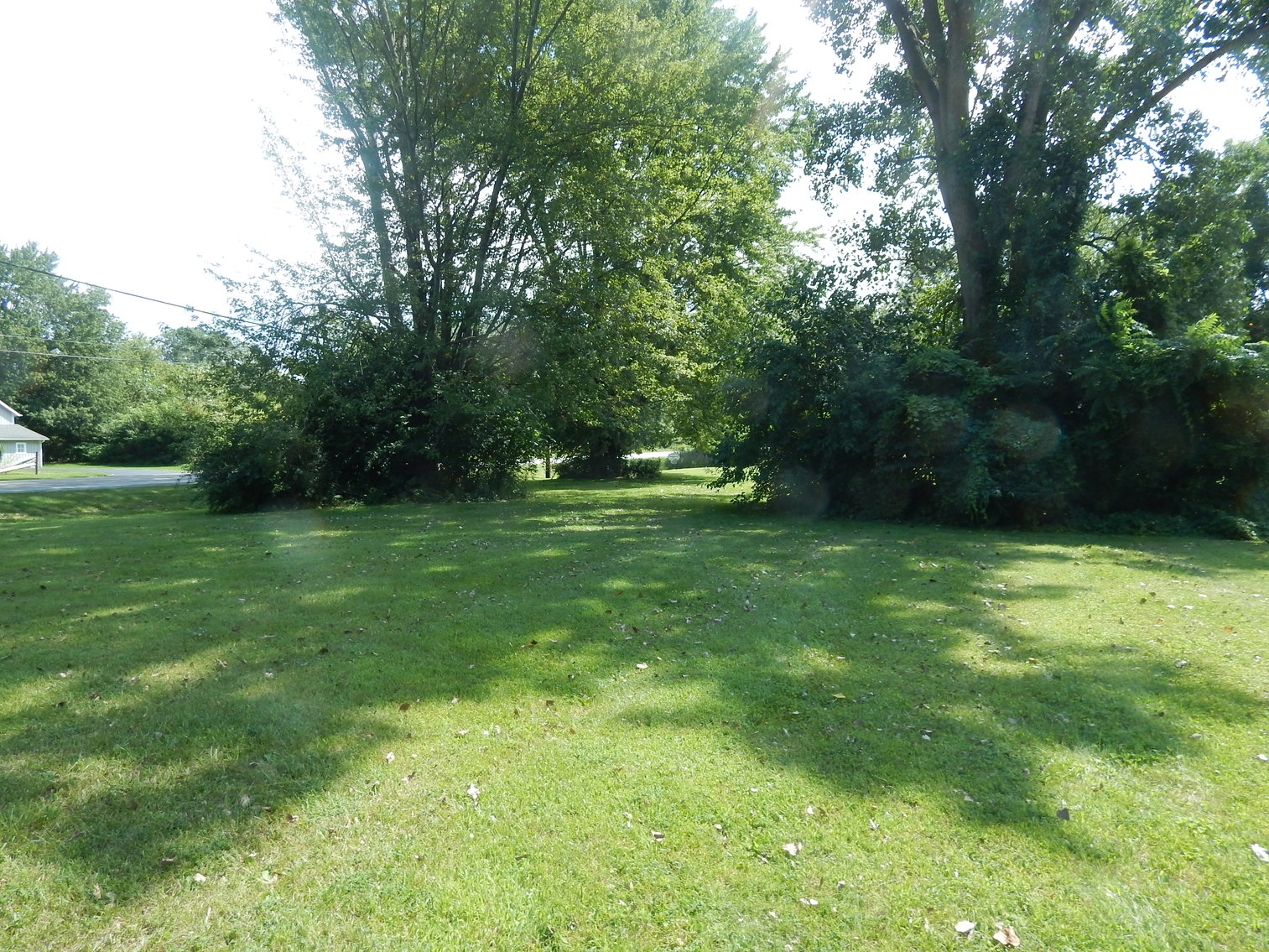 Image for MINIMUM BID AUCTION $5,000 per lot!