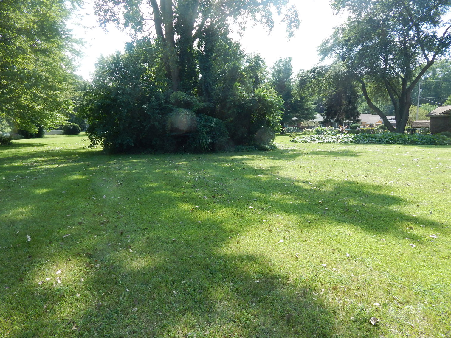 Image for MINIMUM BID AUCTION $5,000 per lot!