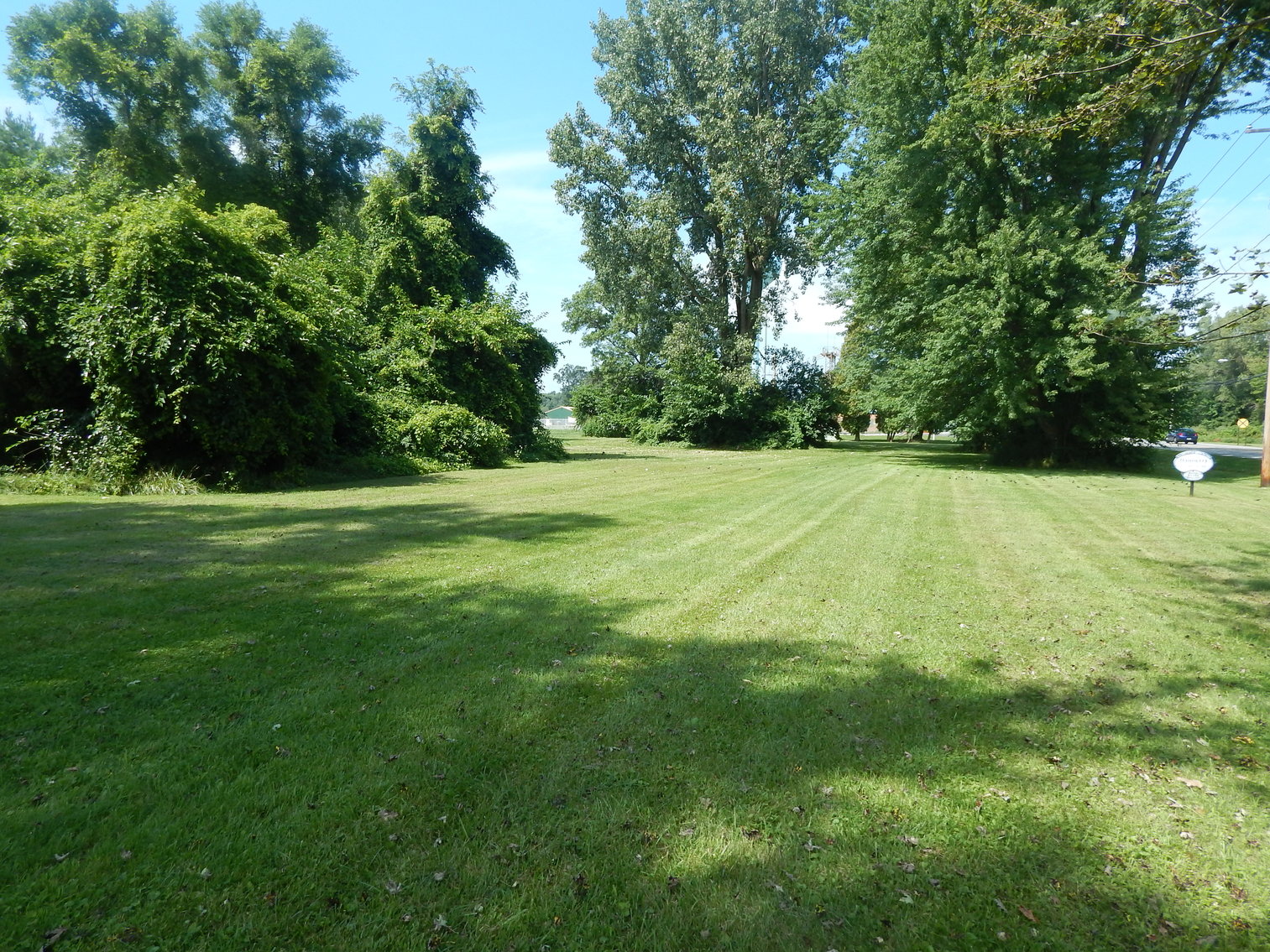 Image for MINIMUM BID AUCTION $5,000 per lot!