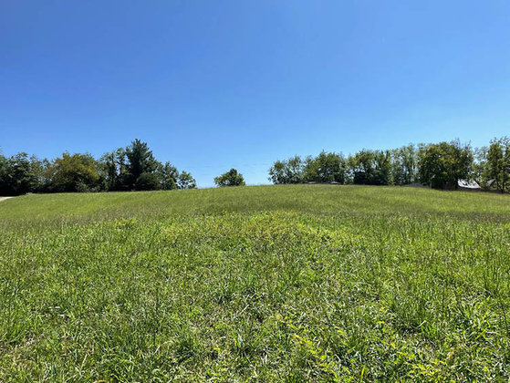 Image for SATURDAY, SEPTEMBER 18 * 10 am