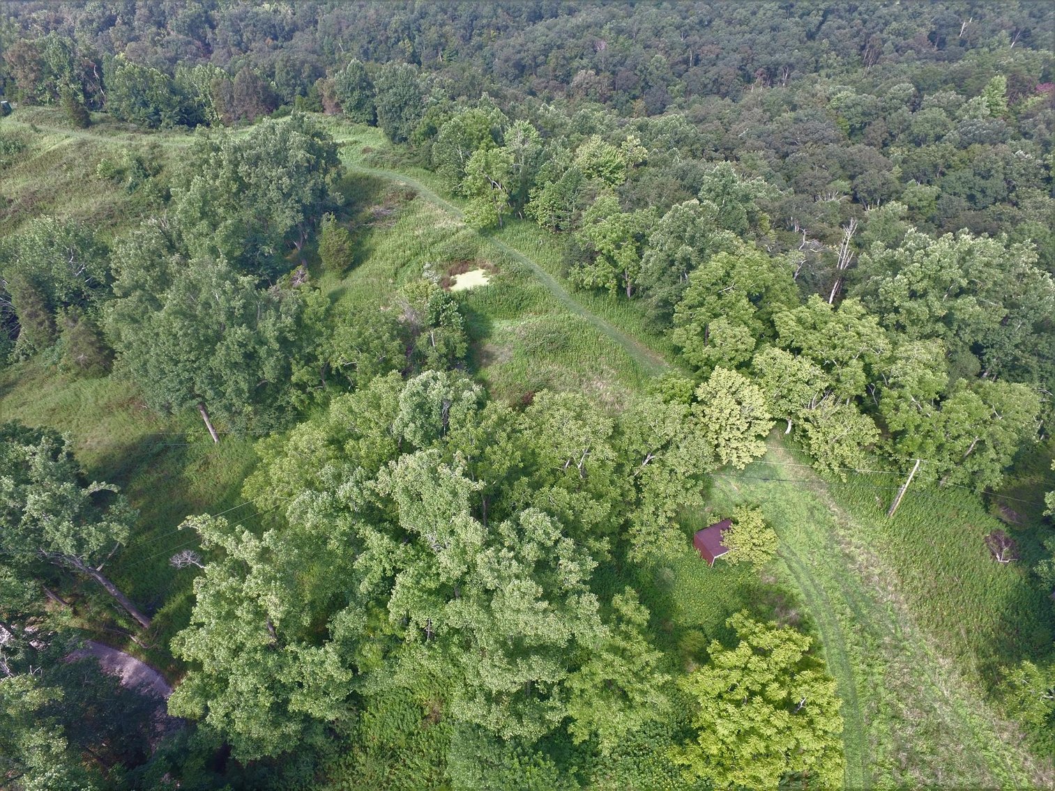 SOLD 165,000 53 Acres in Red House with Free Gas