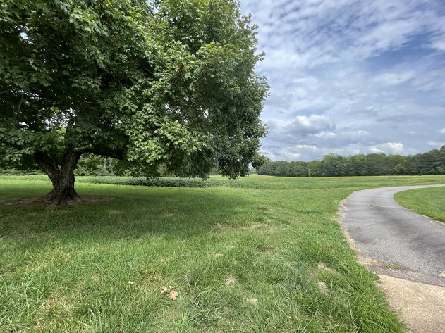 Image for Lone Hickory Estate