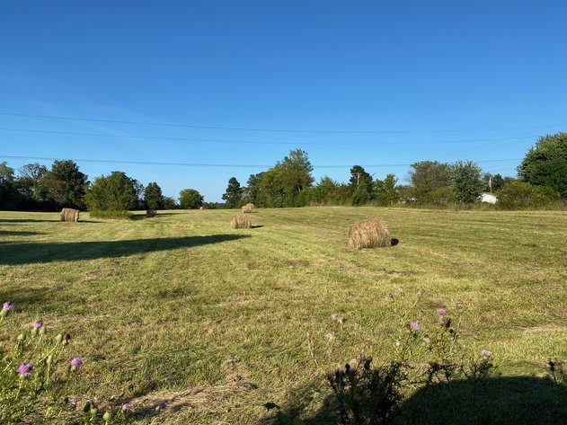 Image for ABSOLUTE ESTATE AUCTION