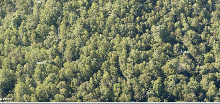 Image for 35 Acres + - Forsyth County