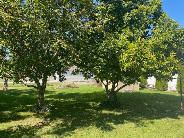 Image for MINIMUM BID AUCTION $77,000! 630 W Park St