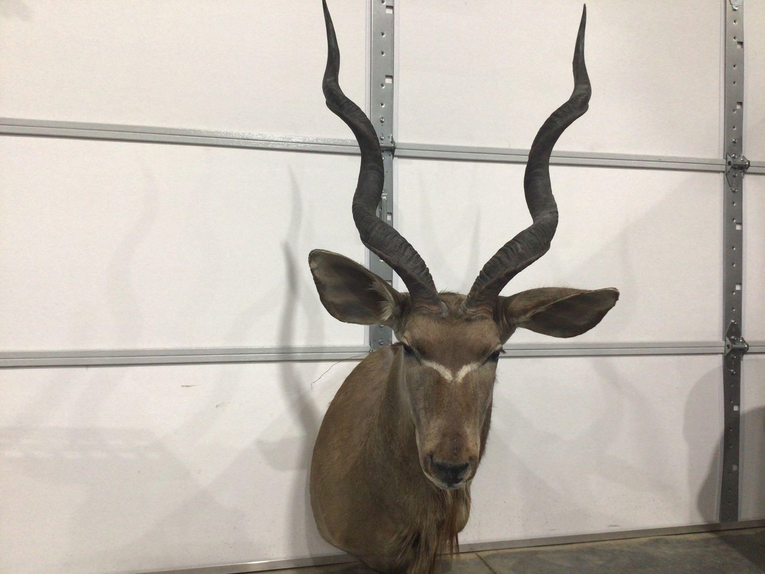 Image for On-Line Consignment Auction