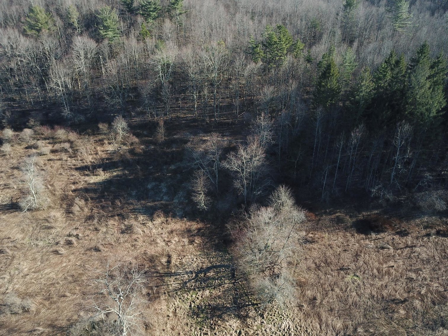 Image for SOLD $80,300 - 26.17+/- Acres of Developable Land