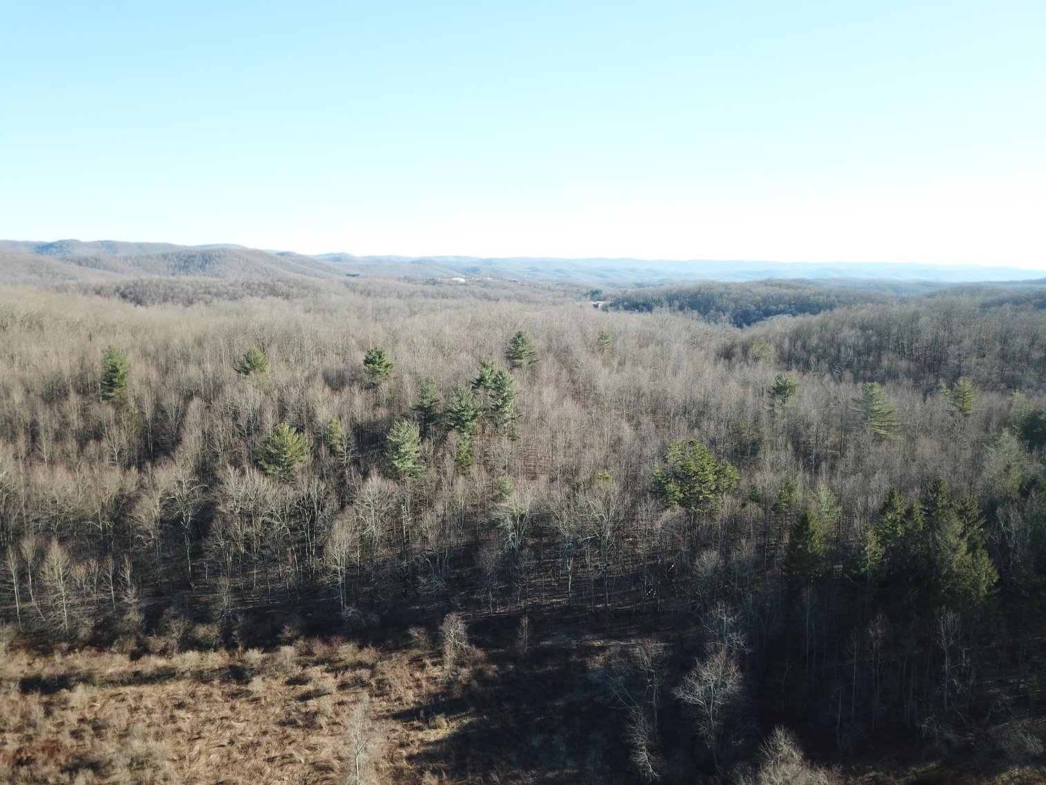 Image for SOLD $80,300 - 26.17+/- Acres of Developable Land