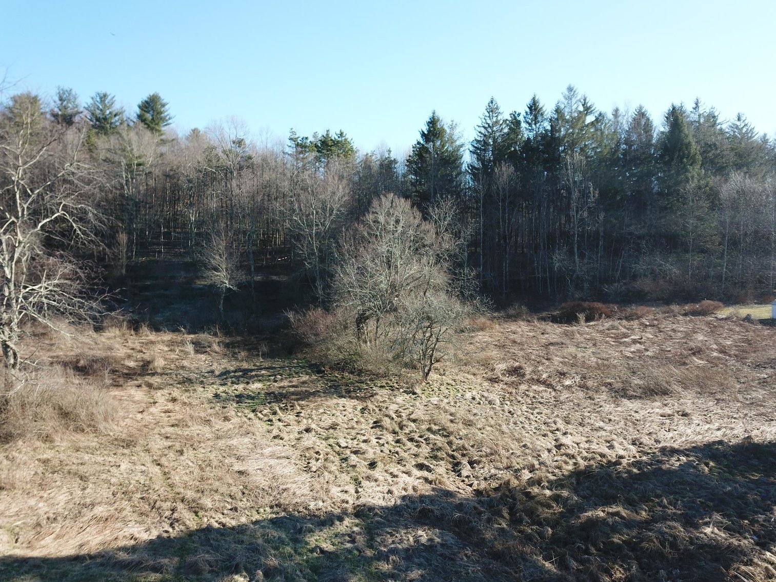 Image for SOLD $80,300 - 26.17+/- Acres of Developable Land