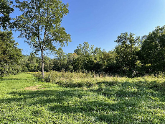 Image for FRIDAY, OCTOBER 1st    1:00 PM 