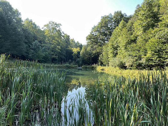 Image for FRIDAY, OCTOBER 1st    1:00 PM 