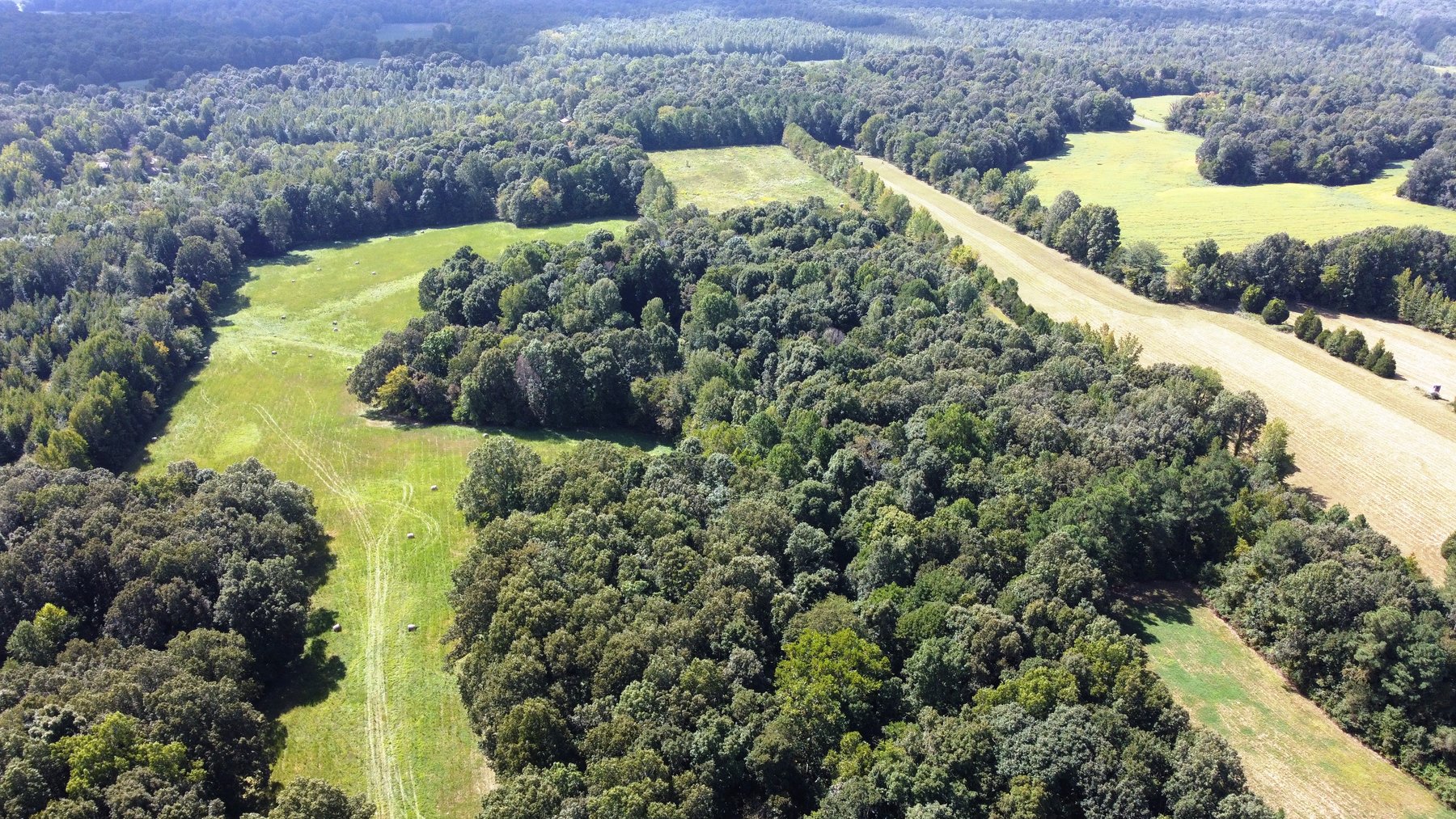 Image for ABSOLUTE AUCTION