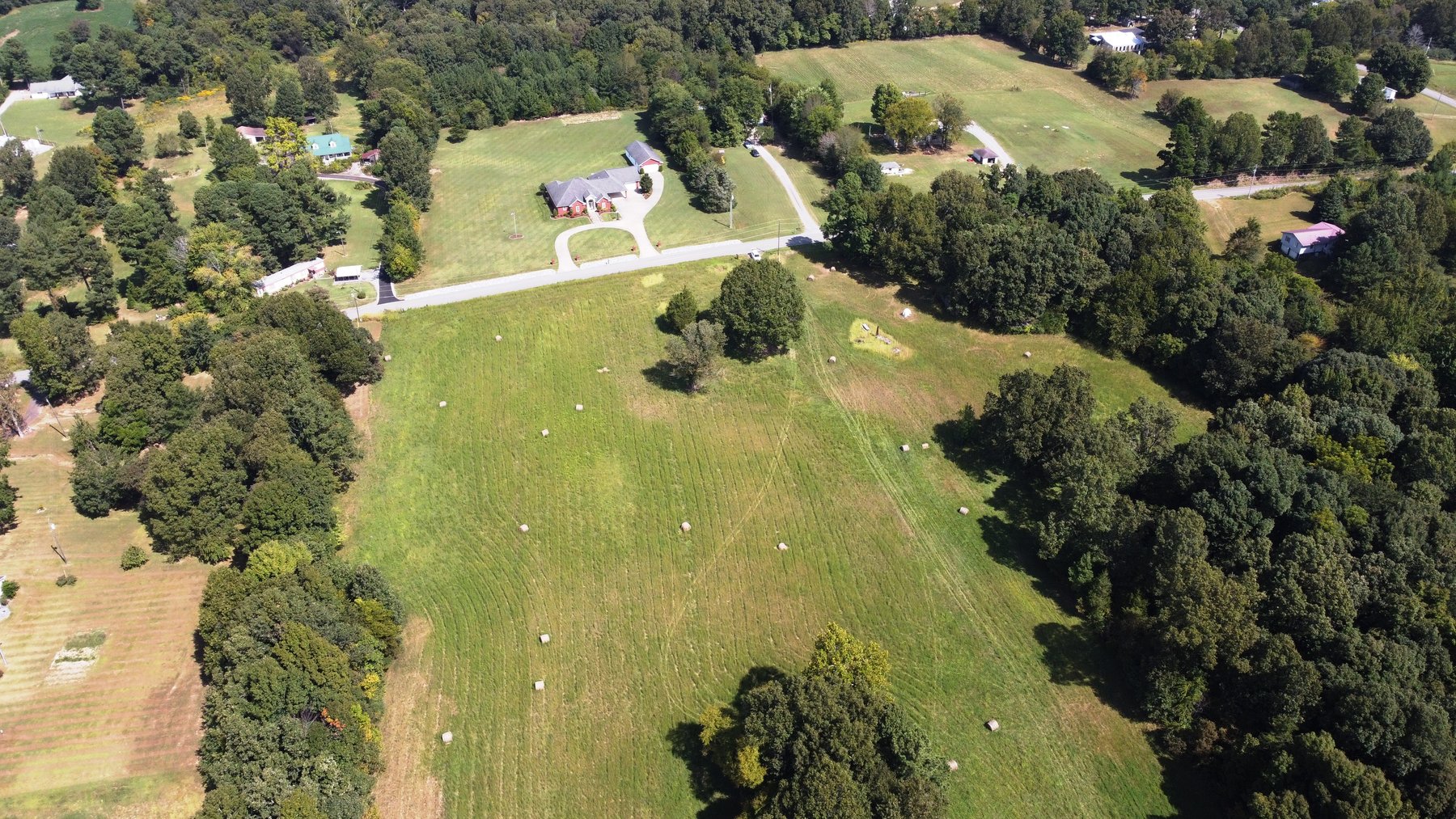 Image for ABSOLUTE AUCTION