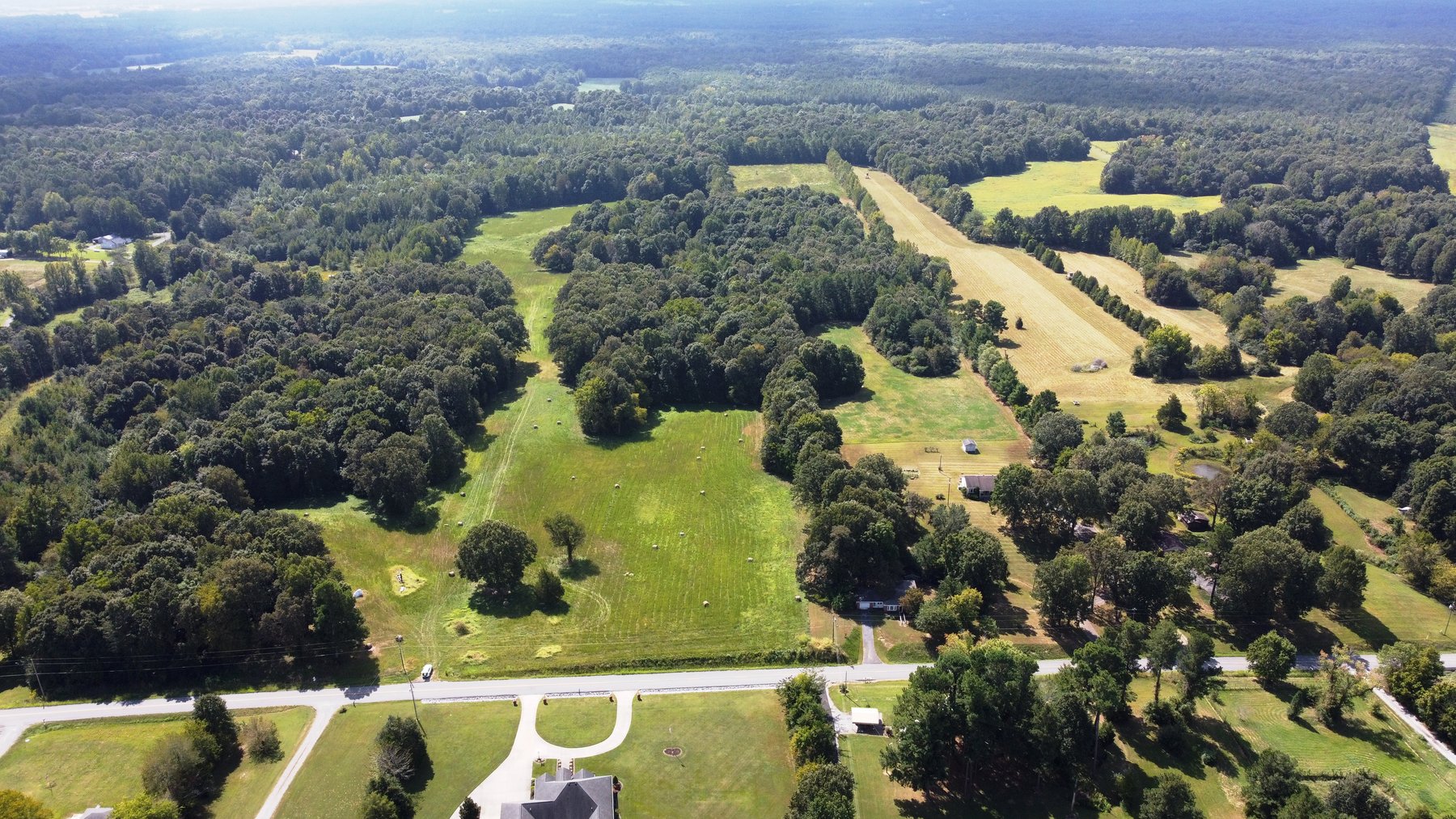 Image for ABSOLUTE AUCTION