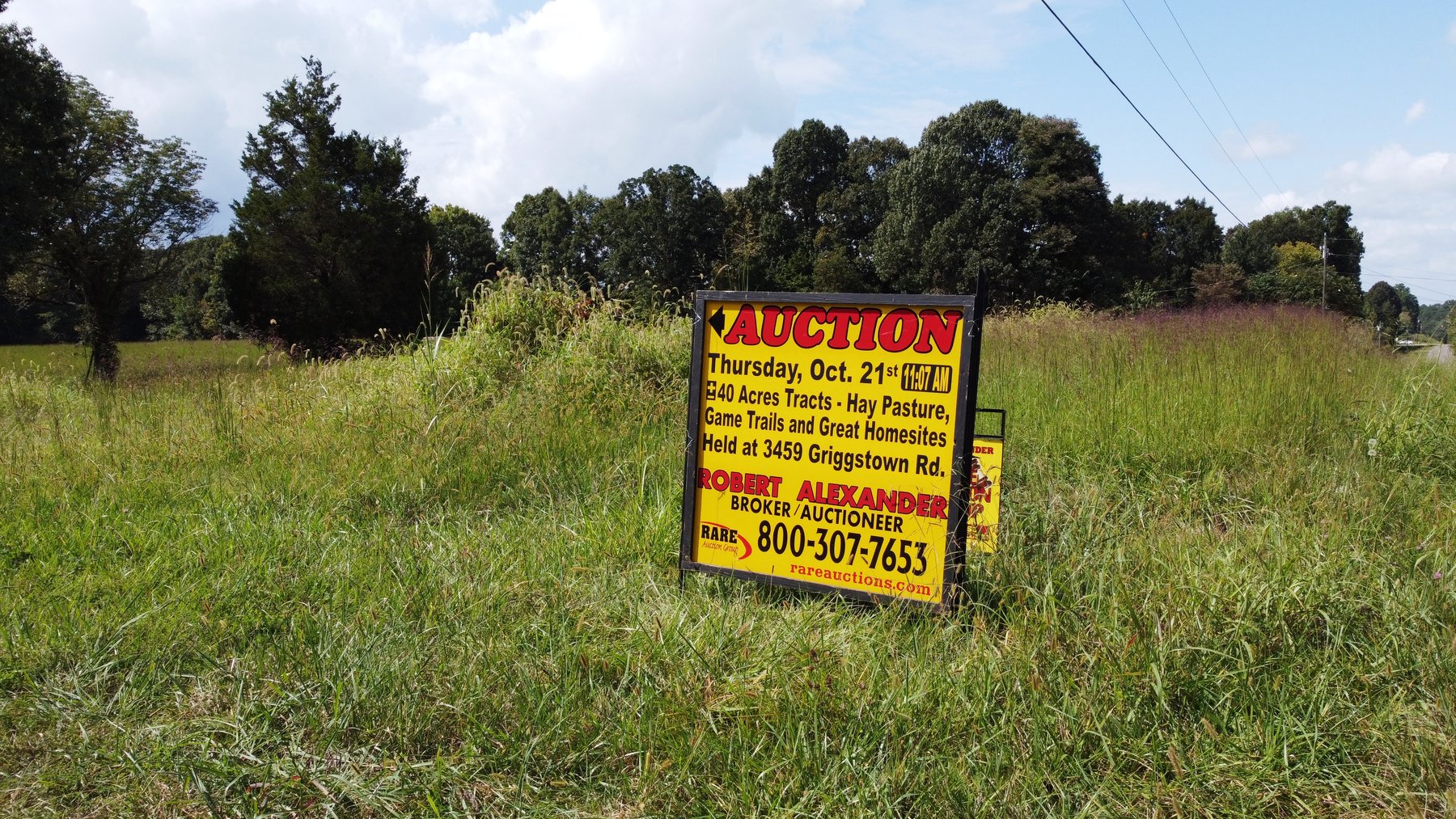 Image for ABSOLUTE AUCTION