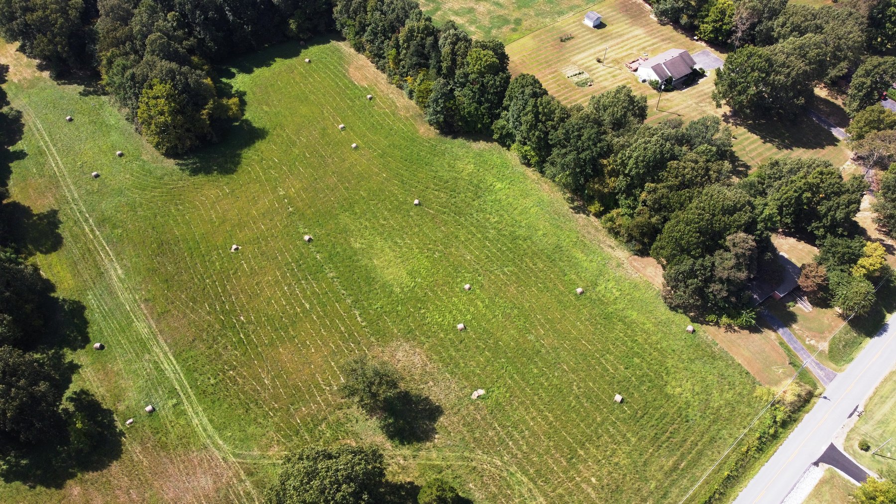 Image for ABSOLUTE AUCTION