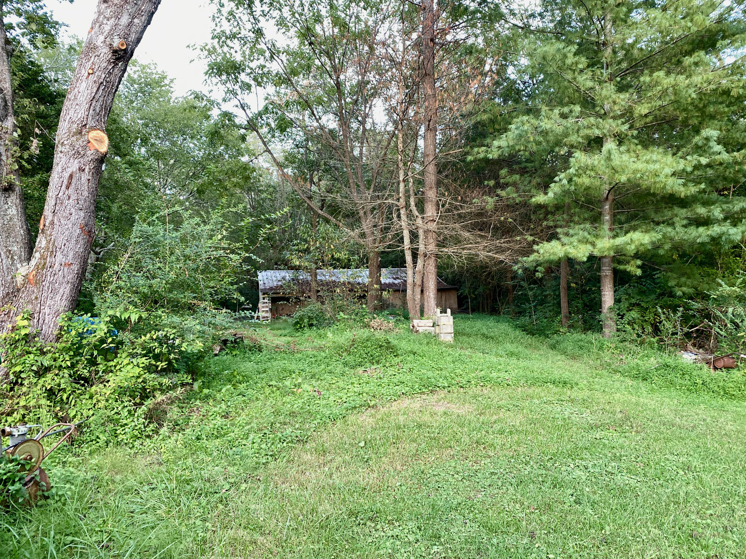 Image for Historic 3 BR Home & Several Outbuildings on 4 +/- acres in Stafford County, VA--SELLS to the HIGHEST BIDDER!!