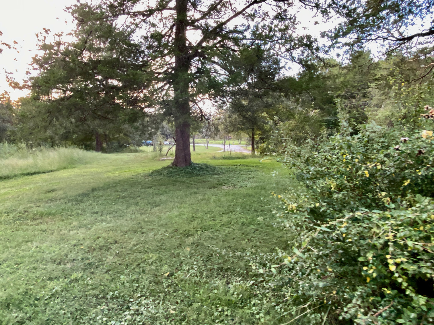 Image for Historic 3 BR Home & Several Outbuildings on 4 +/- acres in Stafford County, VA--SELLS to the HIGHEST BIDDER!!