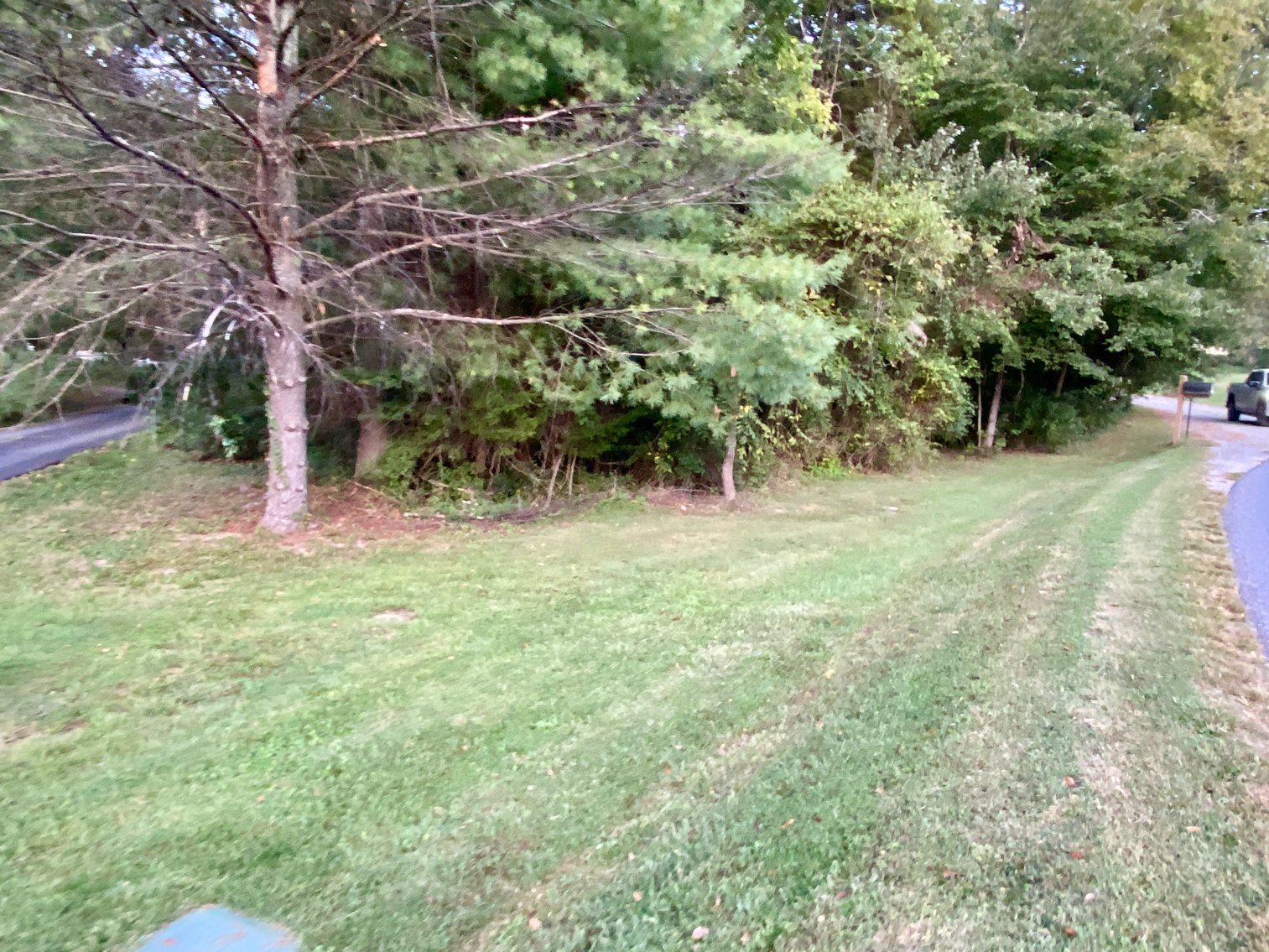 Image for Historic 3 BR Home & Several Outbuildings on 4 +/- acres in Stafford County, VA--SELLS to the HIGHEST BIDDER!!