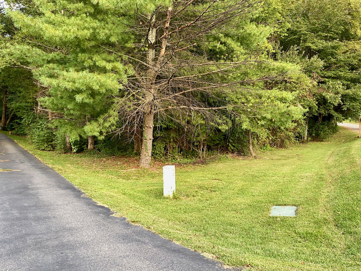 Image for Historic 3 BR Home & Several Outbuildings on 4 +/- acres in Stafford County, VA--SELLS to the HIGHEST BIDDER!!