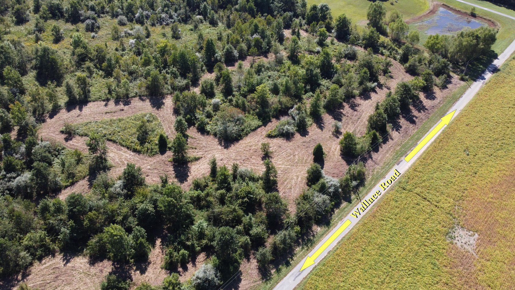 Image for ABSOLUTE LIVING ESTATE AUCTION