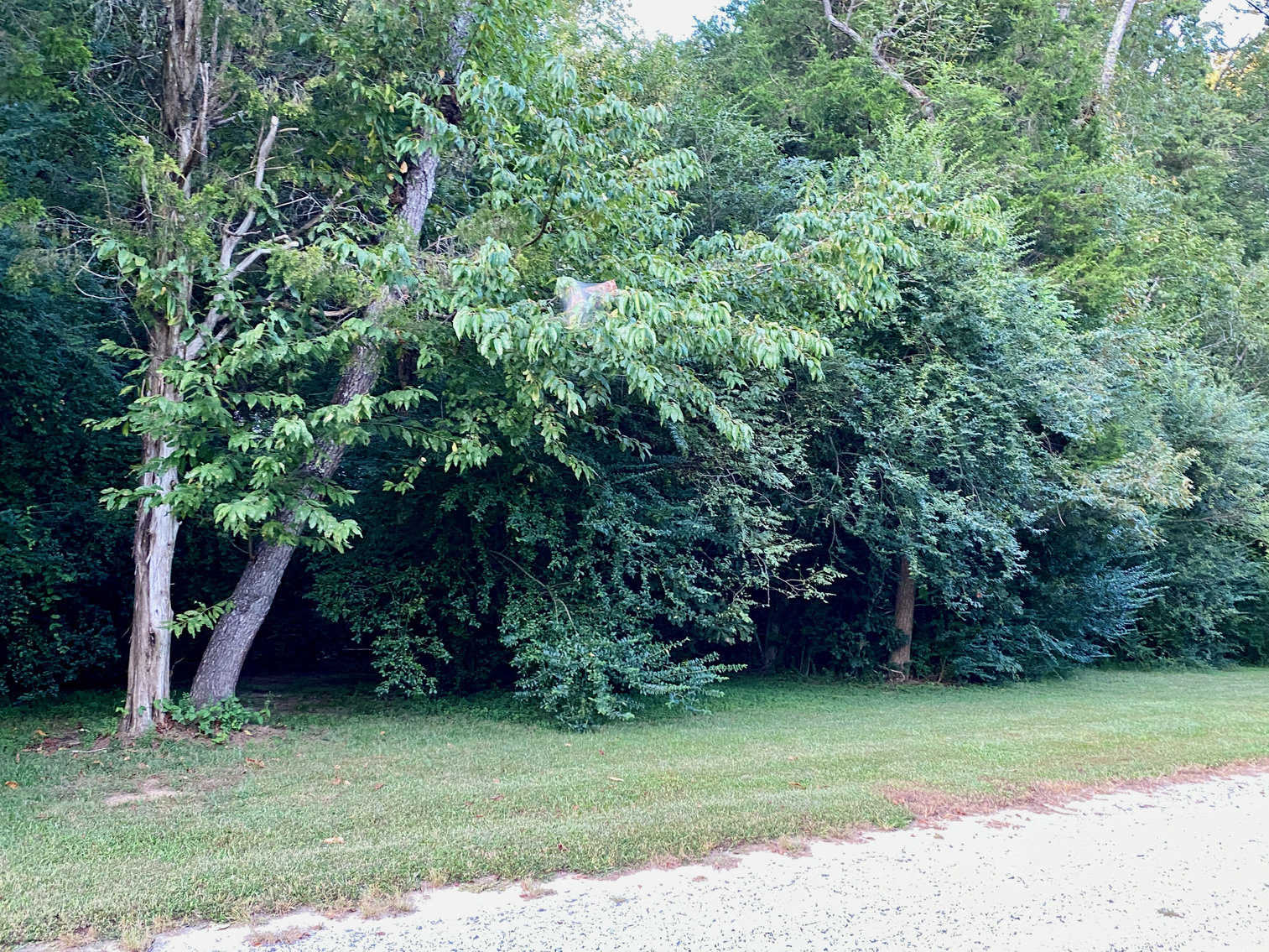 Image for 3.18 +/- Acre Land Parcel in Stafford County, VA--SELLS to the HIGHEST BIDDER!!