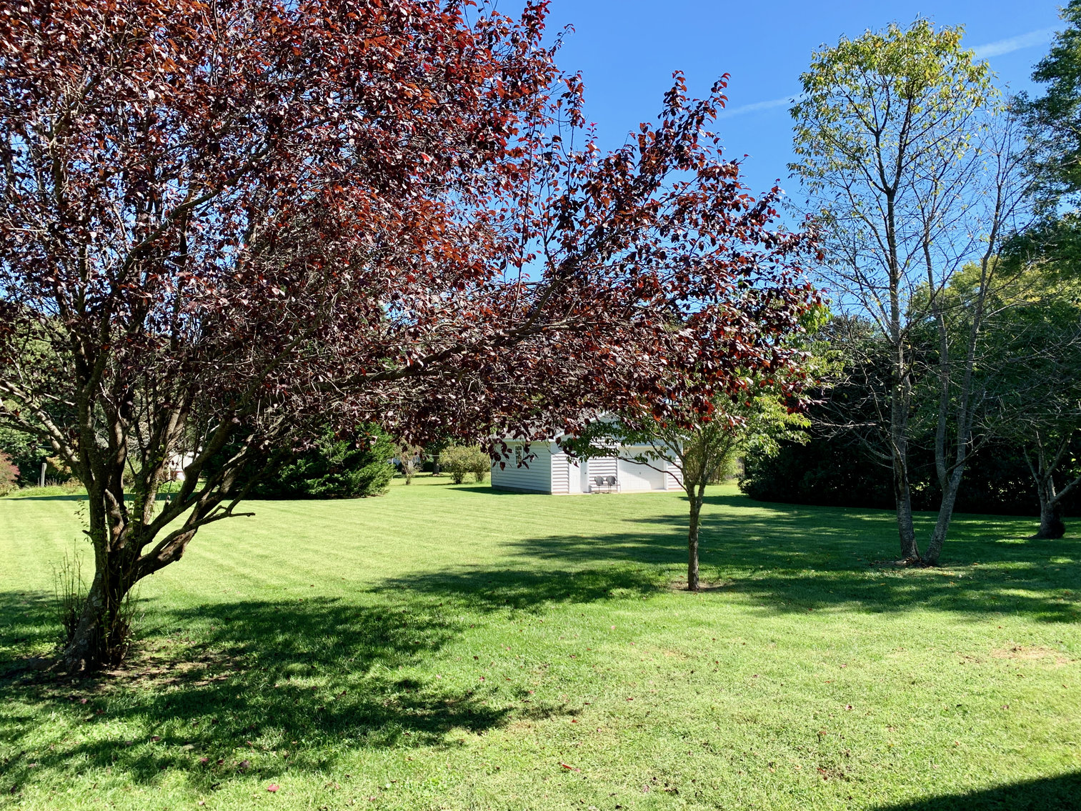 Image for 3 BR/2.5 BA Custom Built Home w/Detached Shop/Garage in King George, VA--SELLS to the HIGHEST BIDDER!!