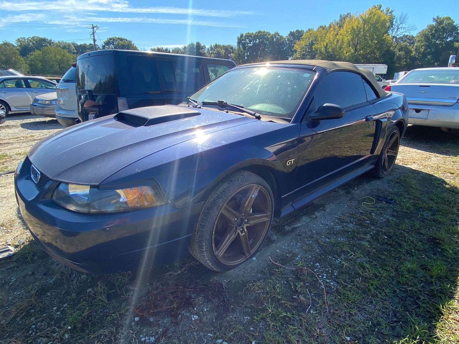 Image for City of Greensboro Impounds L.O.E.