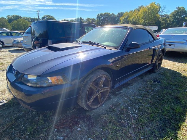 Image for City of Greensboro Impounds L.O.E.