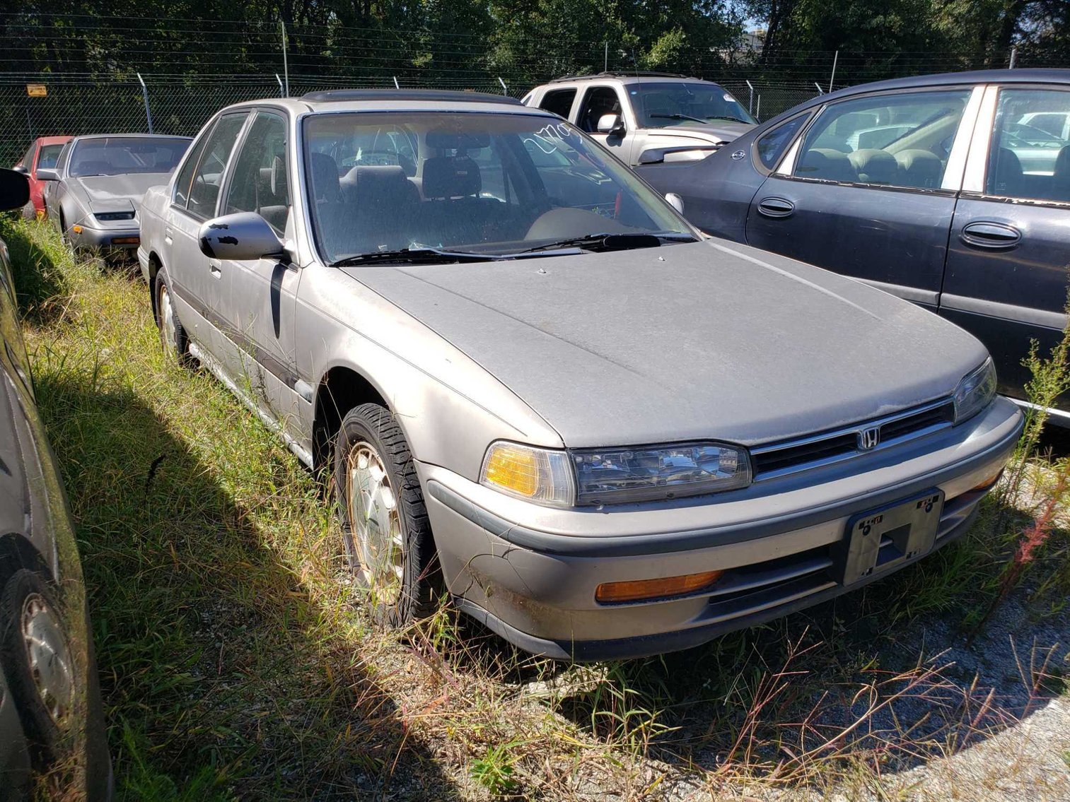 Image for City of Greensboro Impounds L.O.E.