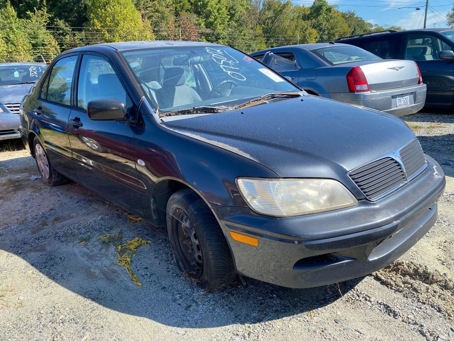 Image for City of Greensboro Impounds L.O.E.