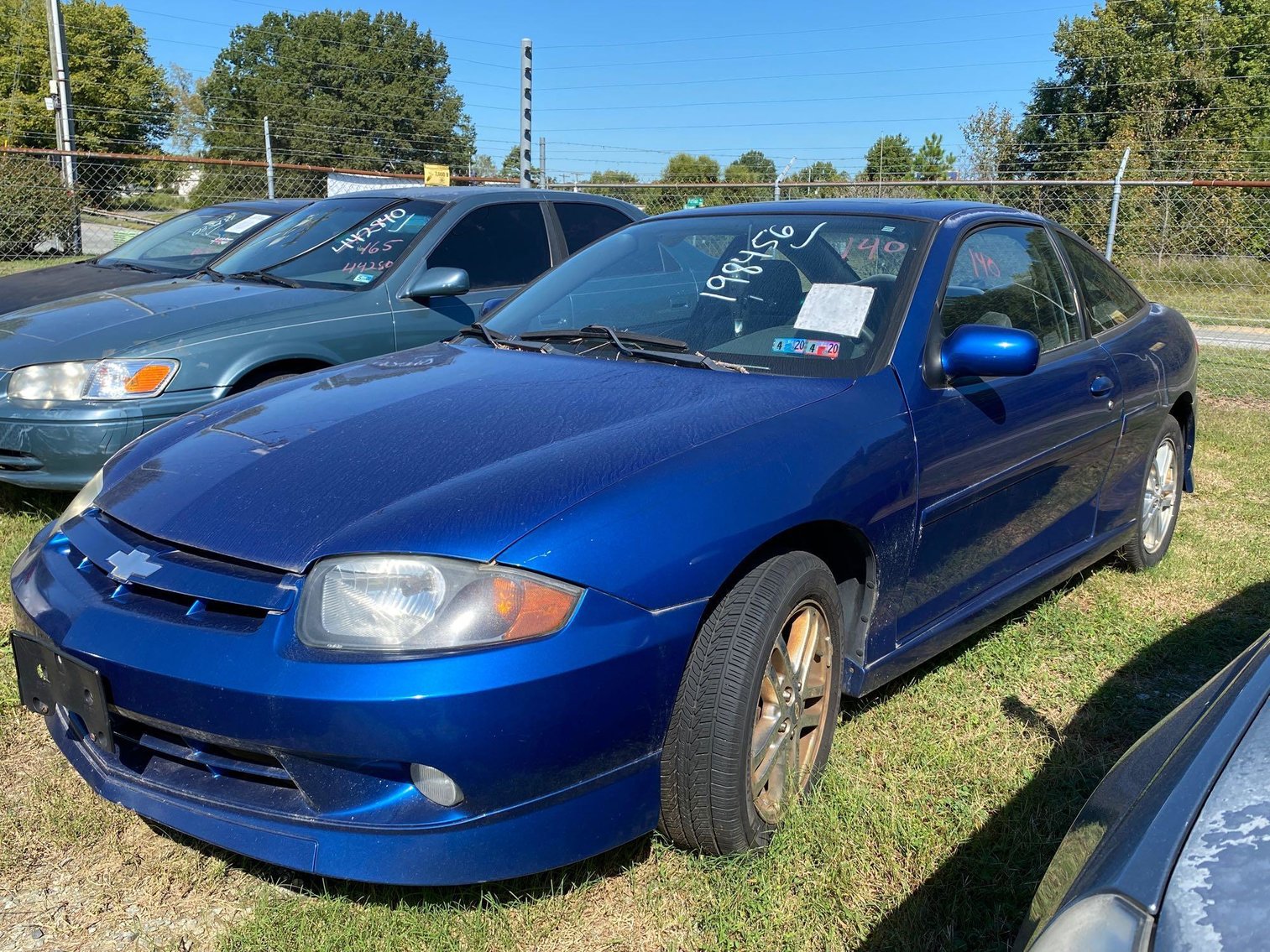 Image for City of Greensboro Impounds L.O.E.