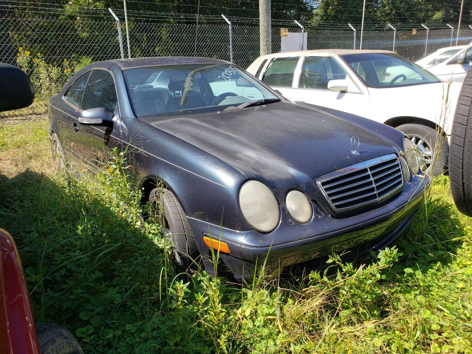 Image for City of Greensboro Impounds L.O.E.