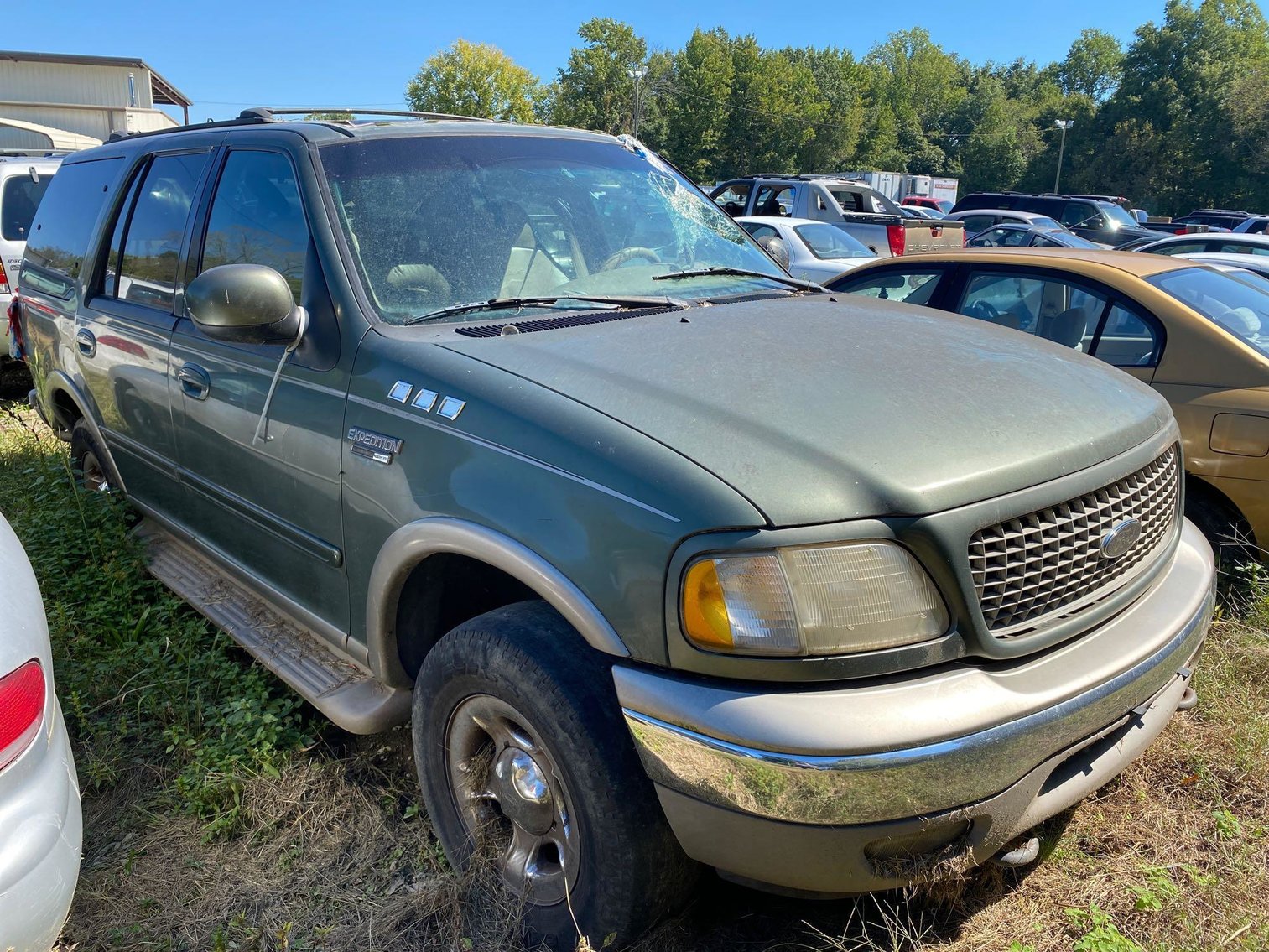 Image for City of Greensboro Impounds L.O.E.