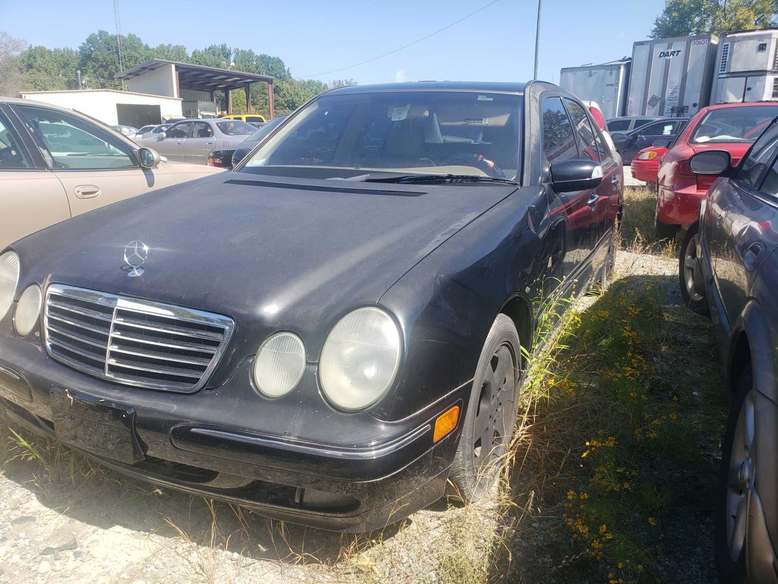 Image for City of Greensboro Impounds L.O.E.