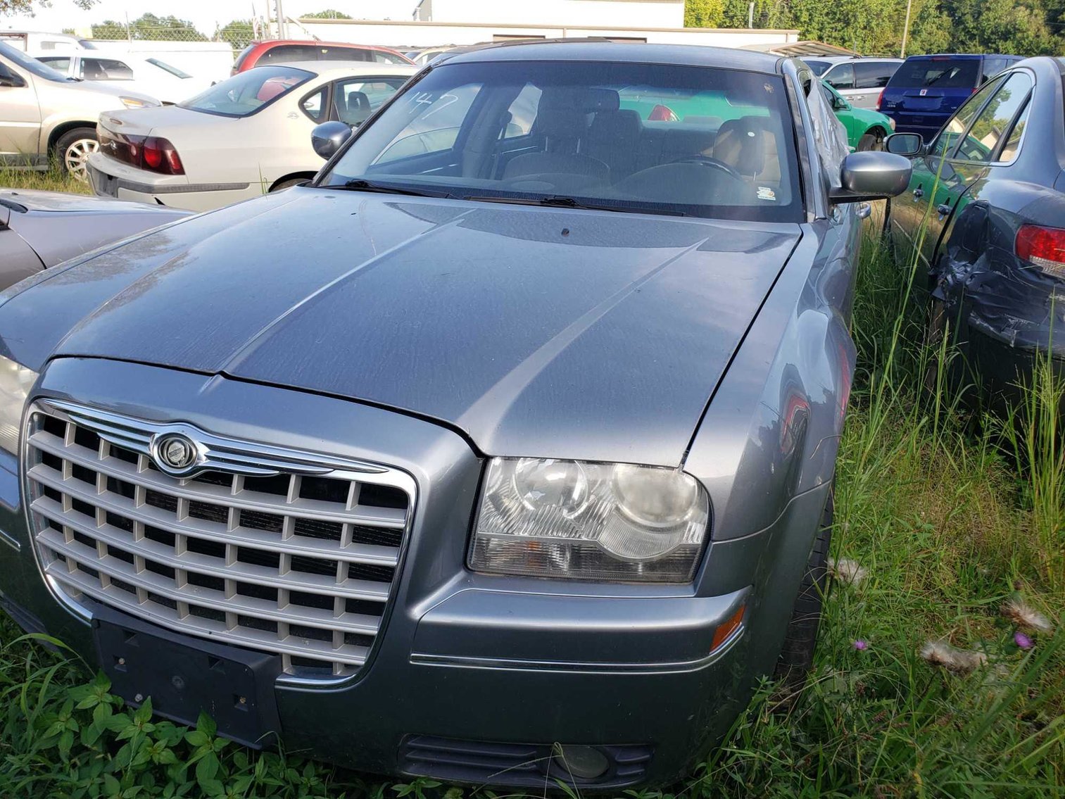 Image for City of Greensboro Impounds L.O.E.