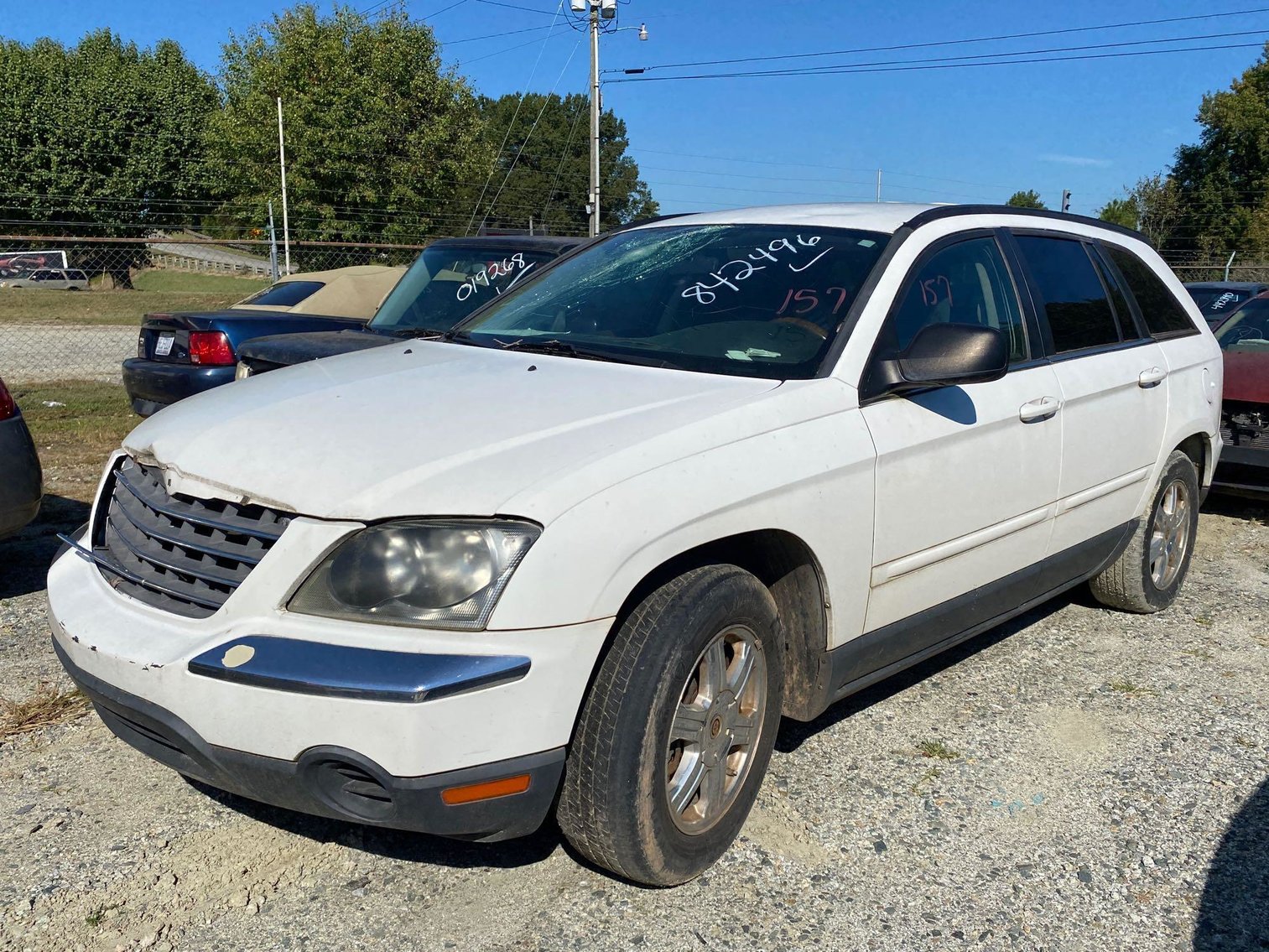 Image for City of Greensboro Impounds L.O.E.