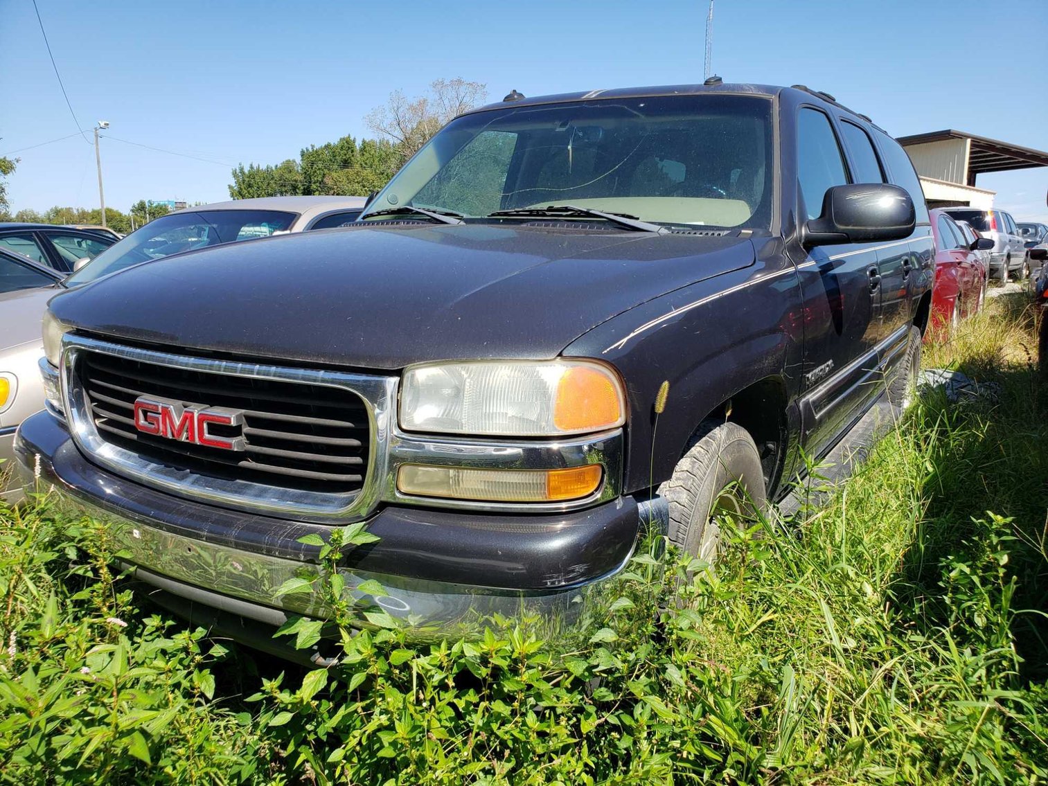 Image for City of Greensboro Impounds L.O.E.