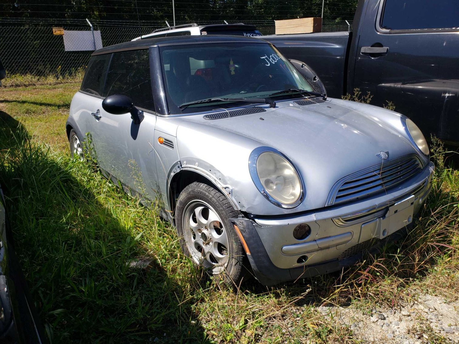 Image for City of Greensboro Impounds L.O.E.